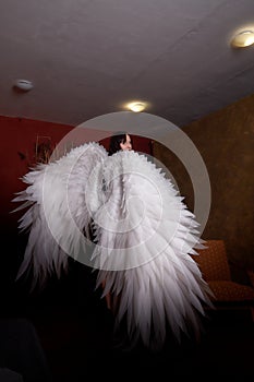 Young elegant woman in trendy black clothes with white wings. Brunette model in nice dark dress posing in studio in