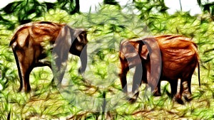 Young Elephant and his family eating hay