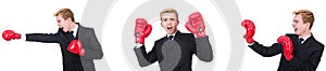 The young employee with boxing gloves isolated on white