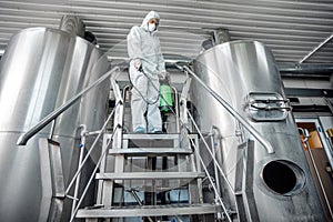 Young employee working in factory, disinfect brewery kettles in interior