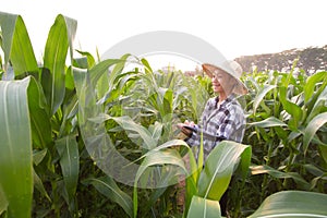 Young environmentalist enjoy with studying biology photo