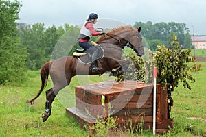Young equestrian girl jumping events obstacle with sports horse
