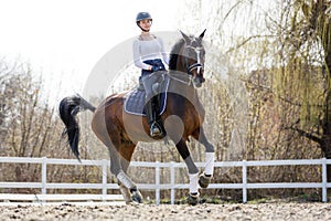 Young Equestrian Practices Dressage Vaults