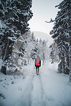 Young explorer in a colorful jacket stands in a frosty white environment in Sotkamo, Finland. Active lifestyle. Walking in wild