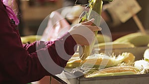 Young faceless woman selecting a corn at the street market. Customer choosing farm fresh vegetables. Veggy healthy