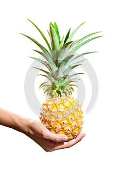 Young famer holding fresh pineapple in right hand photo
