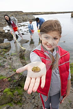 Young family at beach collecting shells