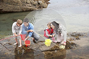 Young family at beach collecting shells