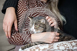 Young family couple with domestic cat and tea cup on sofa at home