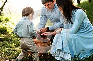 Young family with a dog Spitz on a walk