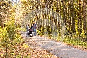 Young Family Outdoors Walking Through Autumn Park