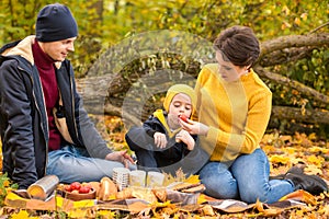 A young family with small boy having picnic in autumn nature
