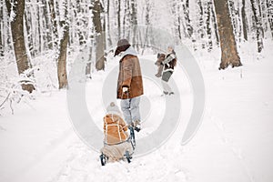 Young family with two children riding on a sled in winter forest