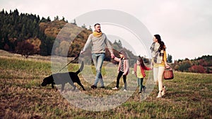 A young family with two small children and a dog on a walk in autumn nature.