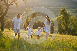 Young family with two small children walking on meadow outdoors at sunset.