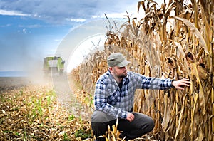 Young farmer in corn fields