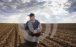 Young farmer in corn fields