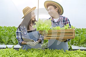 Young farmer couple working in hydroponic greenhouse farm, clean food and healthy eating concept