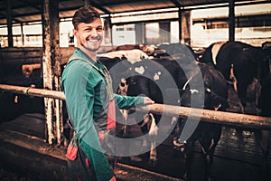 Young farmer in a cowshed on a dairy farm