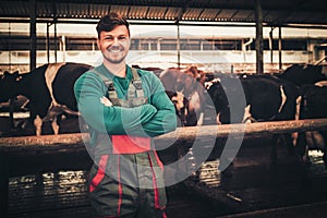 Young farmer in a cowshed on a dairy farm photo