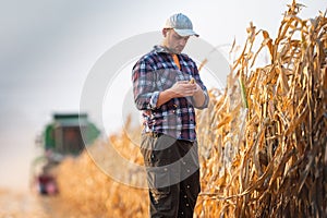 Young farmer examine corn seed in corn fields
