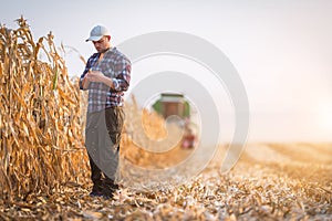 Young farmer examine corn seed in corn fields