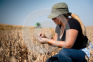 Young farmer girl examing soybean plant during harvest