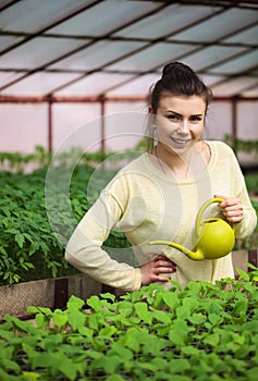 Young farmer girl watering green seedlings in greenhouse