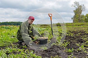 Young farmer harvesting potatoes