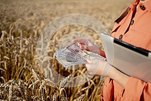 Young farmer holding dollars in golden wheat field. Profit from agriculture during harvesting season in the summer