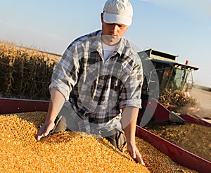 Young farmer holding ripe corns