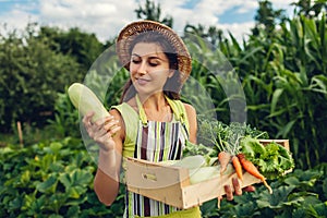 Young farmer holding zucchini and wooden box filled with fresh vegetables. Woman gathered autumn crop. Gardening