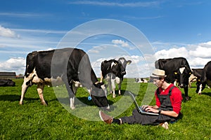 Young farmer with laptop in field with cows photo