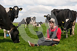 Young farmer with laptop in field with cows