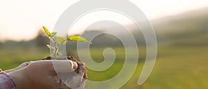 Young farmer man hands holding a green young plant on nature background.