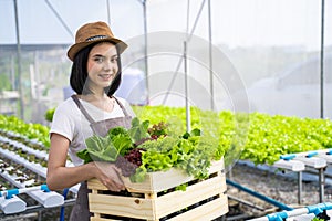 Young farmer man holding basket of vegetables in hydroponic farm with smile. Organic vegetable ready to serve in salad dish. Food