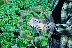 Young farmer observing some charts vegetable filed in mobile phone, Eco organic smart farm 4.0 technology concept, Agronomist in A