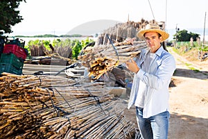 Young farmer preparing bamboo stems for making support trellises