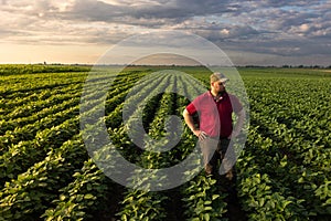 Young farmer in soybean fields