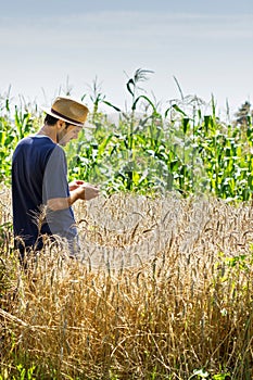 Young farmer standing in a wheat field