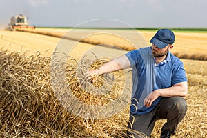 Young farmer standing on wheat field during harvest