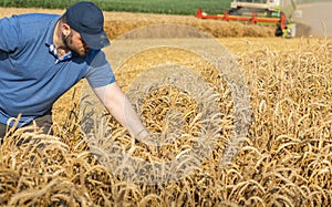 Young farmer standing on wheat field during harvest