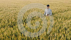 Young farmer with tablet in hand examines ripening wheat walking across the field