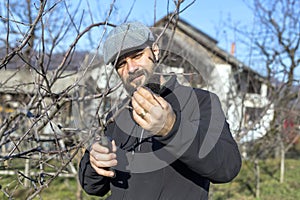 Young farmer trimming trees in his orchard