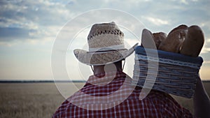 Young farmer are walking along the wheat field with bread baskets