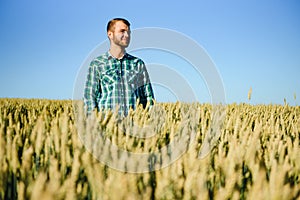 Young farmer in a wheat field before the harvest