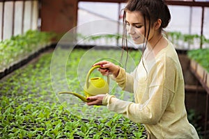 Young farmer woman watering green seedlings in greenhouse