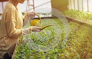 Young farmer woman watering green seedlings in greenhouse