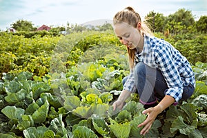 Young farmer working at his garden in sunny day