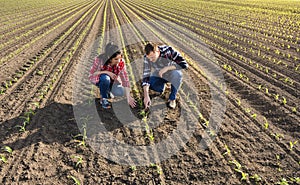 Young farmers examing planted corn photo